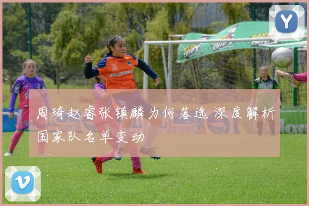 周琦赵睿张镇麟为何落选 深度解析国家队名单变动
